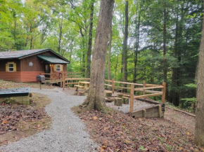 Mountainside Cabin, Secluded, Hot Tub, Lake Accessible